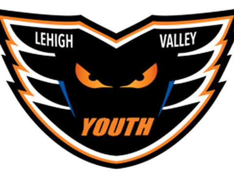 ,Lehigh Valley Phantoms Logo,clipart,lineart,vector clip art,line art,t-shirt,designs,silk,screen,teeshirts,screen-printing,embroidery,logo,mascot,,,,,