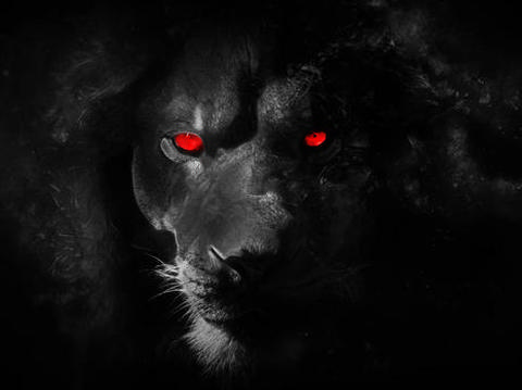 ,Red Eyed Lion,clipart,lineart,vector clip art,line art,t-shirt,designs,silk,screen,teeshirts,screen-printing,embroidery,logo,mascot,,The Right Stuff Tees,Chesapeake,VA,23320
