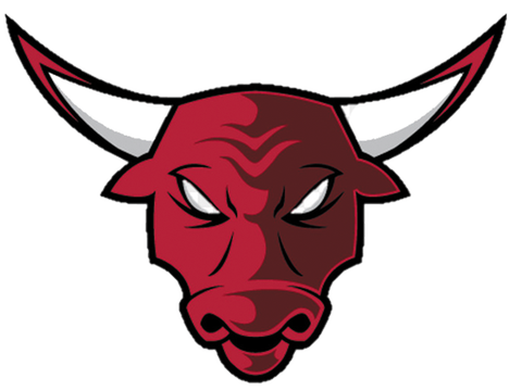 ,bull,clipart,lineart,vector clip art,line art,t-shirt,designs,silk,screen,teeshirts,screen-printing,embroidery,logo,mascot,,,Chicago,IL,
