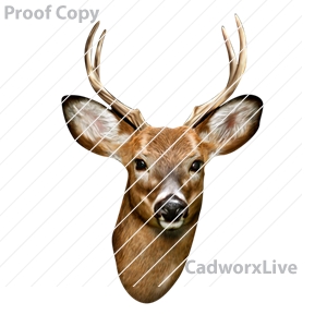 wildlife,animals,mascots,outdoors,creatures,Stock Art File: wl60014,clipart,lineart,vector clip art,line art,t-shirt,designs,silk,screen,teeshirts,screen-printing,embroidery,logo,mascot,Mule deer buck with small antlers.