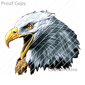 Mascots,sports,wildlife,animals,bald eagle,eagle,Stock Art File: ma30002,clipart,lineart,vector clip art,line art,t-shirt,designs,silk,screen,teeshirts,screen-printing,embroidery,logo,mascot,Bald eagle.